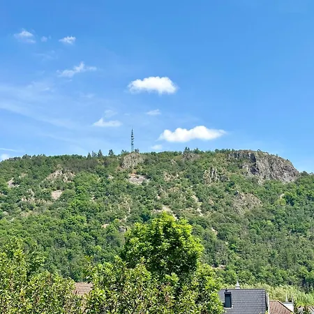 Rheingrafenblick Mit Infrarotkabine Apartment