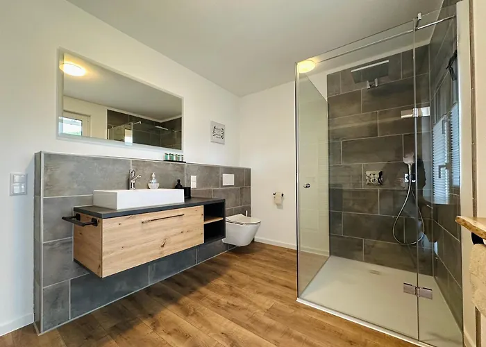 Rheingrafenblick Mit Infrarotkabine アパート *