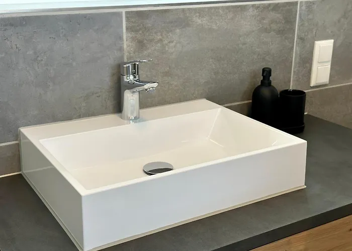 Rheingrafenblick Mit Infrarotkabine アパート *