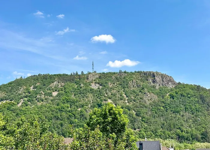 Rheingrafenblick Mit Infrarotkabine アパート